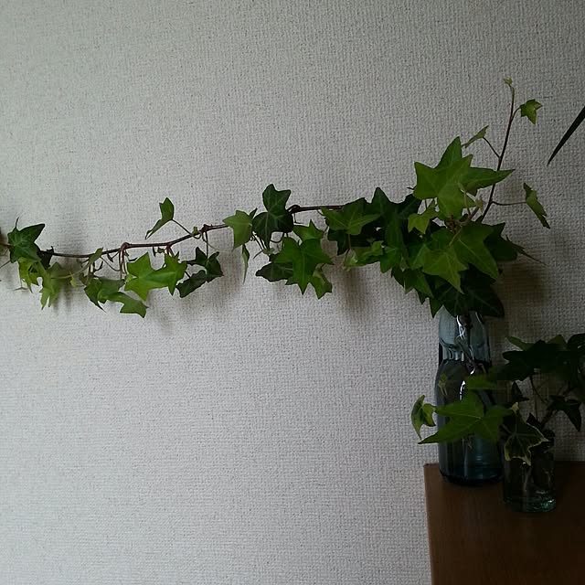 itoriitoriさんの実例写真