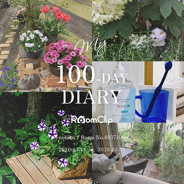 nobikoさんの実例写真