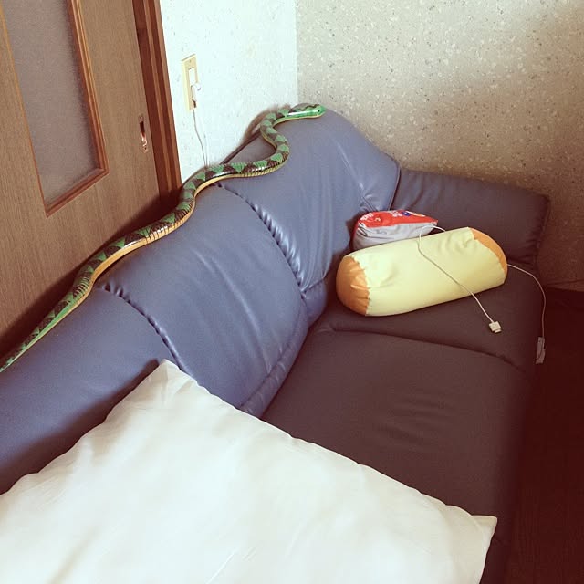 Tatsunosukeさんの実例写真