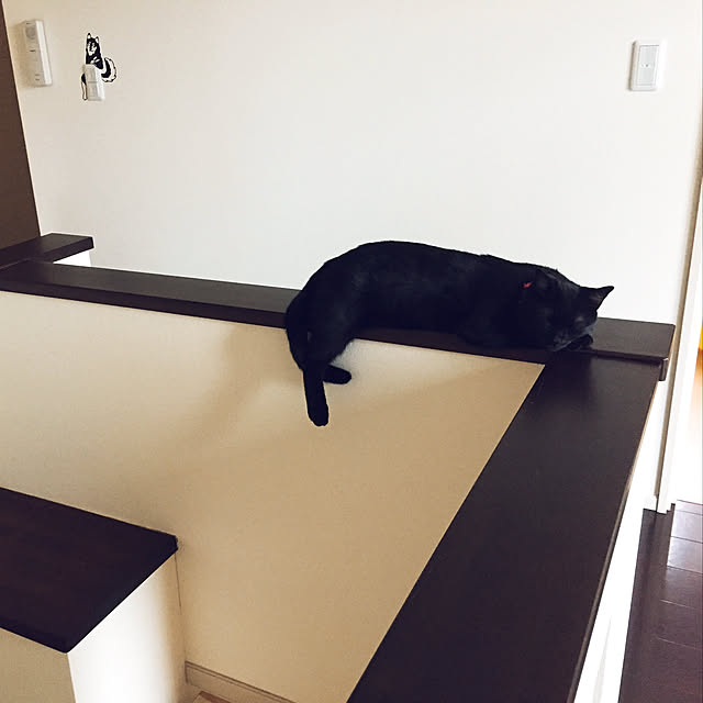 nanaさんの実例写真