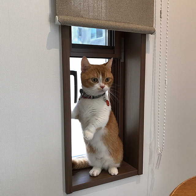 KotarouKunさんの実例写真