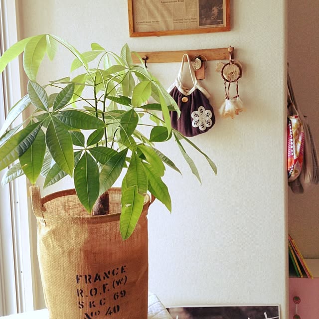 studio-fleurさんの実例写真