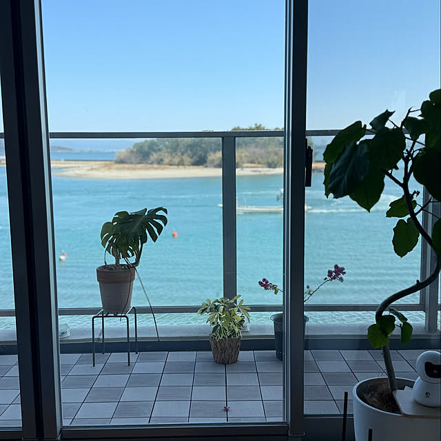 amさんの実例写真