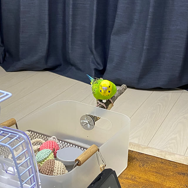 ohanaさんの部屋