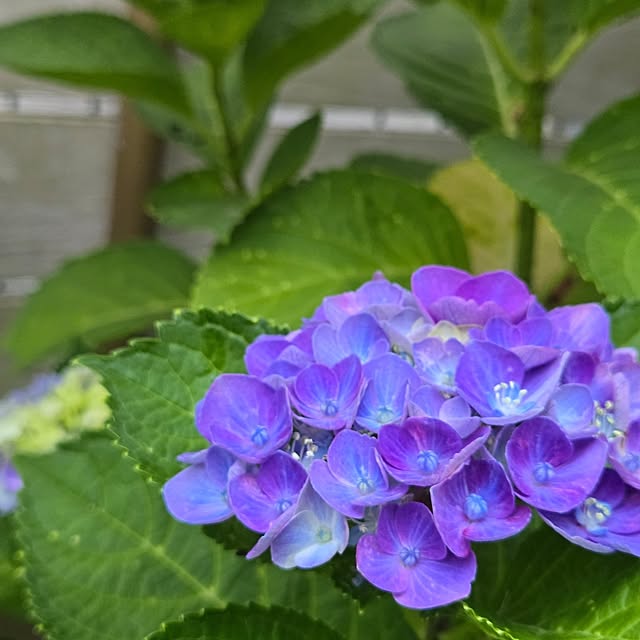 min_nimさんの部屋