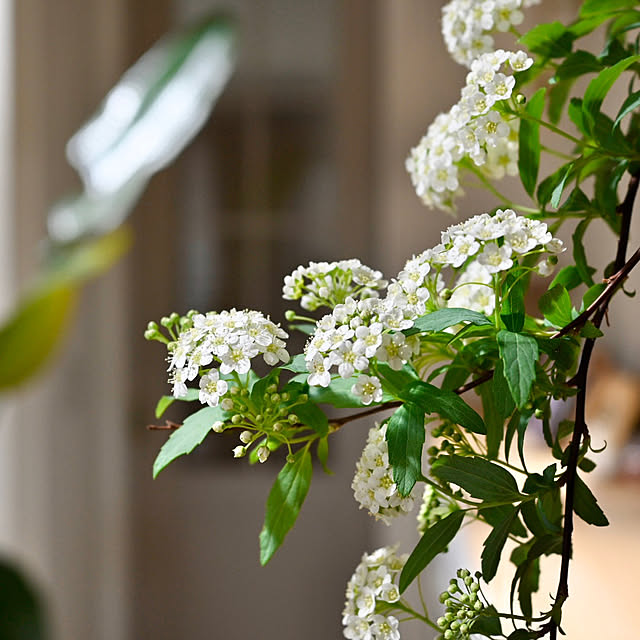 y.tora5さんの部屋