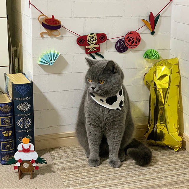 kittyさんの実例写真