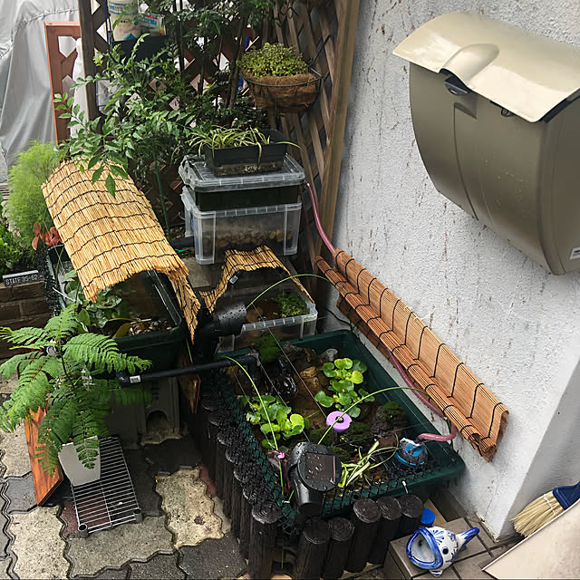 yuikapooさんの実例写真