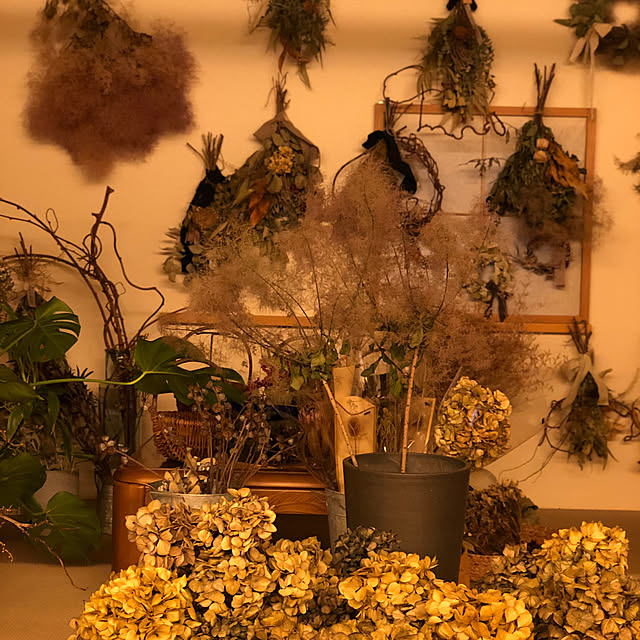 部屋全体/お花のある暮らし/積水ハウス/植物のある暮らし/SHAWOOD...などのインテリア実例 - 2024-07-03 22:45:55