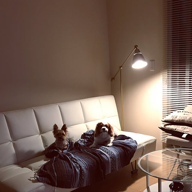 SHINPEIさんの実例写真