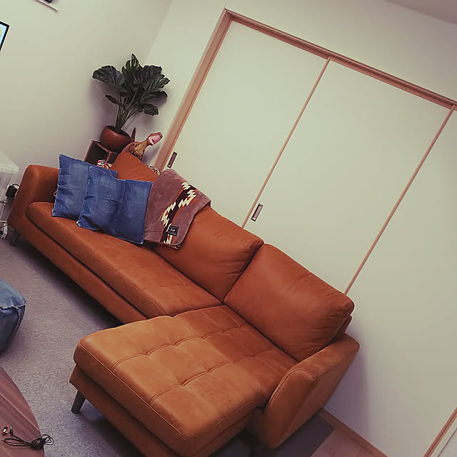 yuさんの実例写真
