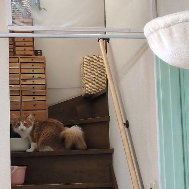 mori_6_12さんの部屋