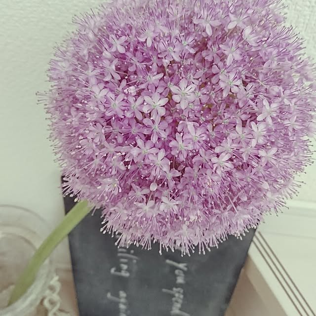 yokkoさんの実例写真