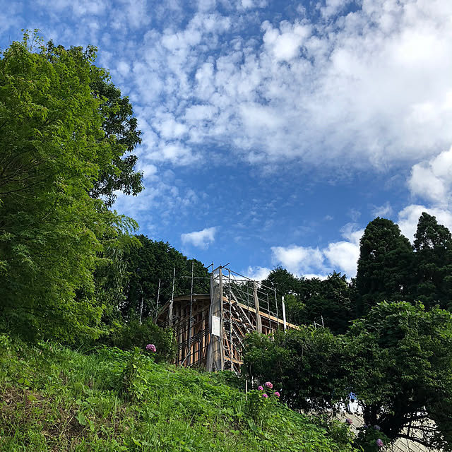 Mayumiさんの実例写真