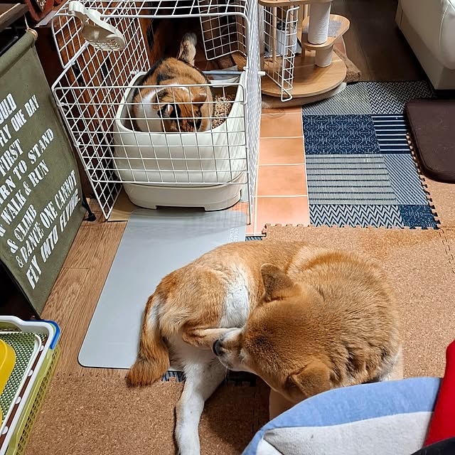 nanaさんの実例写真
