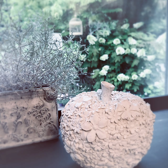 soraさんの実例写真