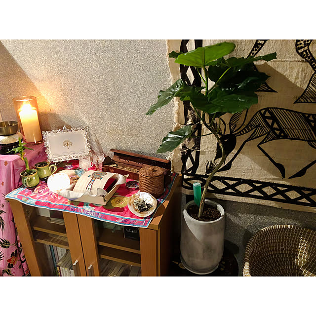 asamiiii1120さんの実例写真