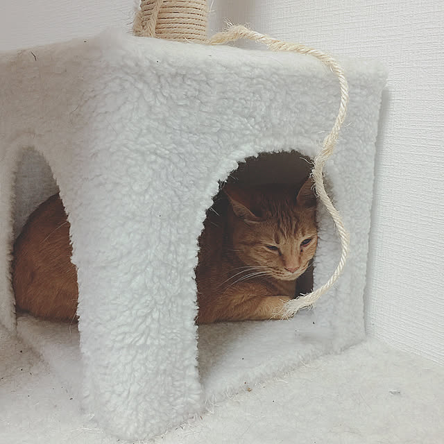 nenemamaさんの実例写真