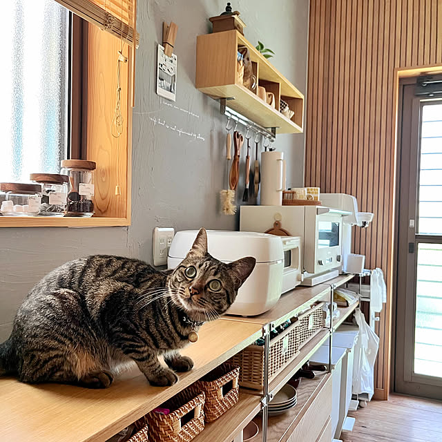 puu.tuuliさんの部屋