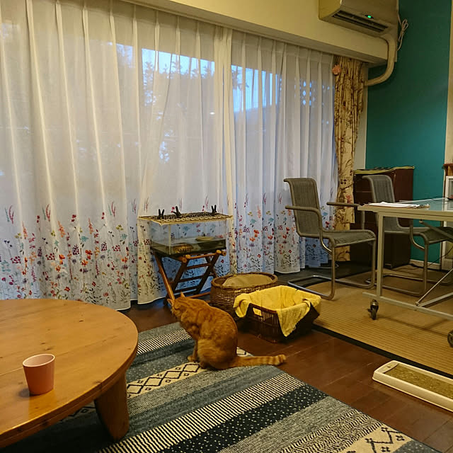 okyosan101さんの実例写真