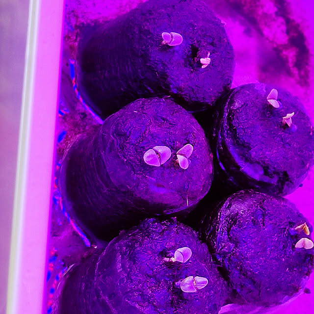 Tackunさんの実例写真