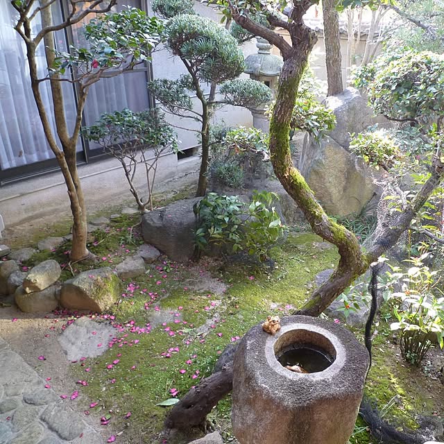 narashiroさんの実例写真
