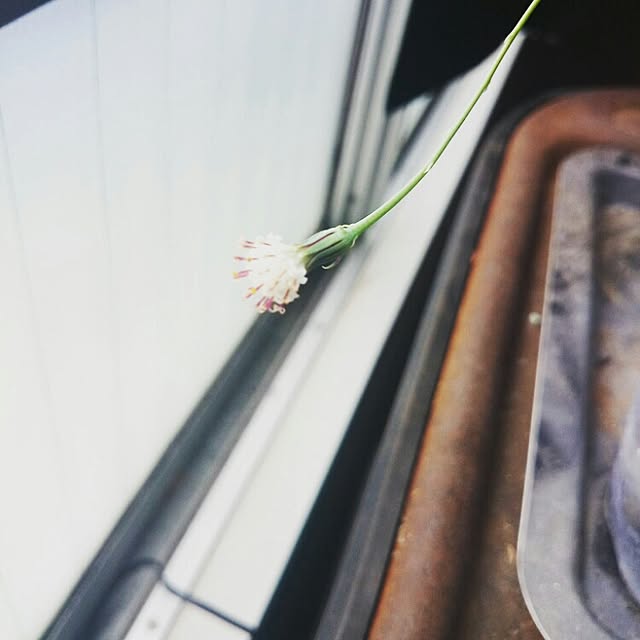 nanaoさんの実例写真