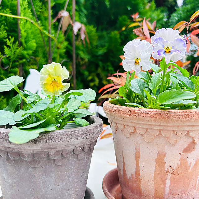 sunabaさんの実例写真