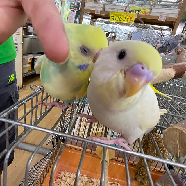 ohanaさんの部屋