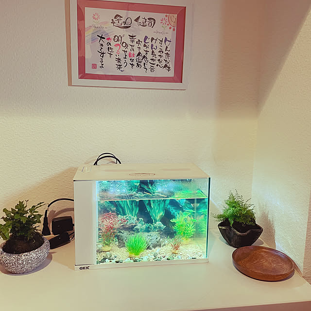 RYOさんの実例写真