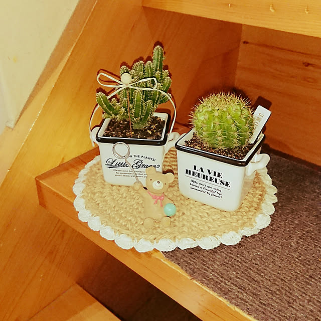 kaorinさんの実例写真