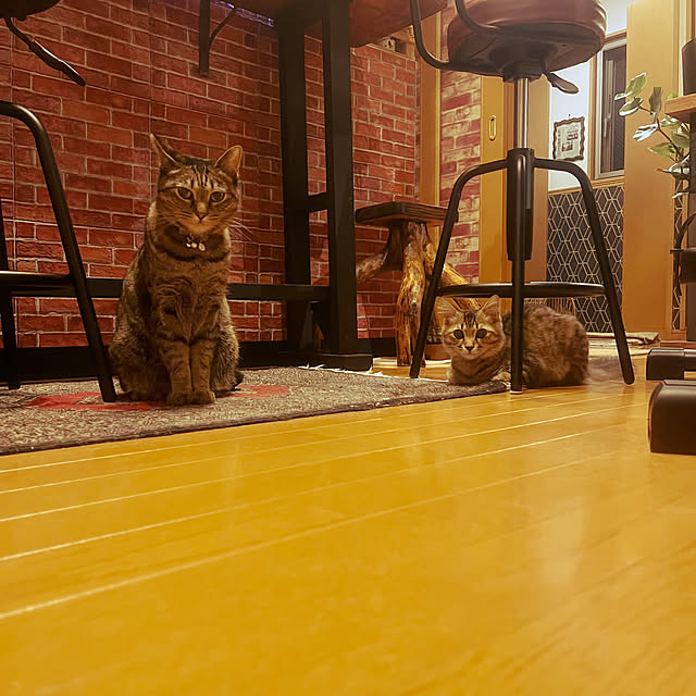 Mさんの部屋