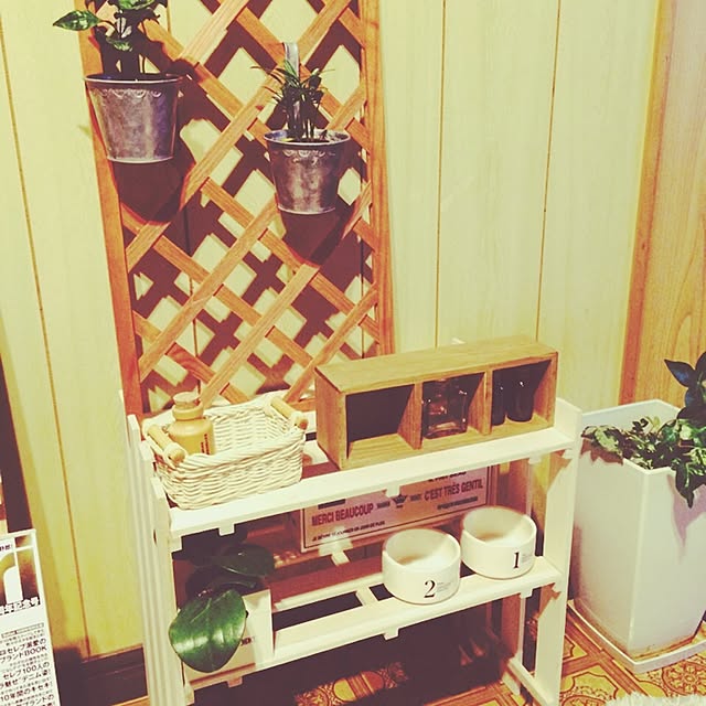 壁/天井のインテリア実例 - 2015-01-23 10:04:34