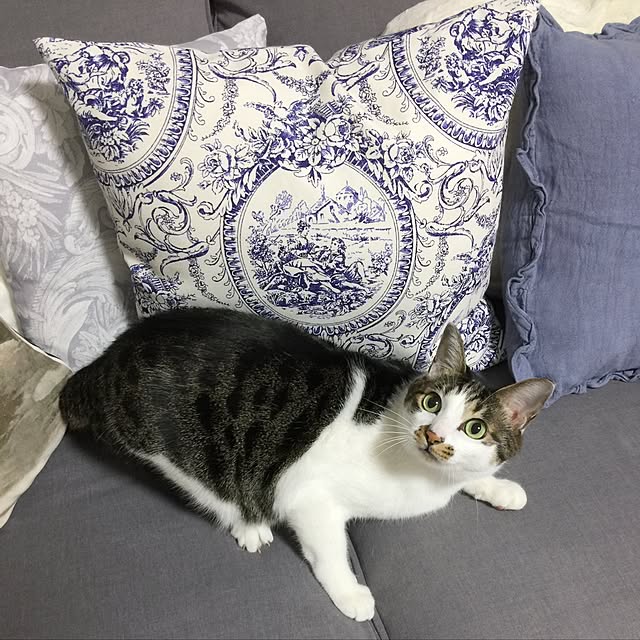 yuchiさんの実例写真