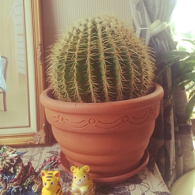 junmamaさんの実例写真