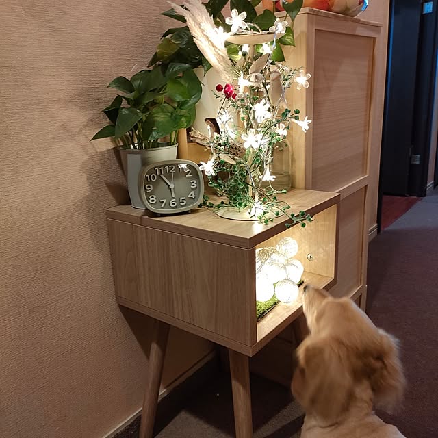 taitaiさんの部屋