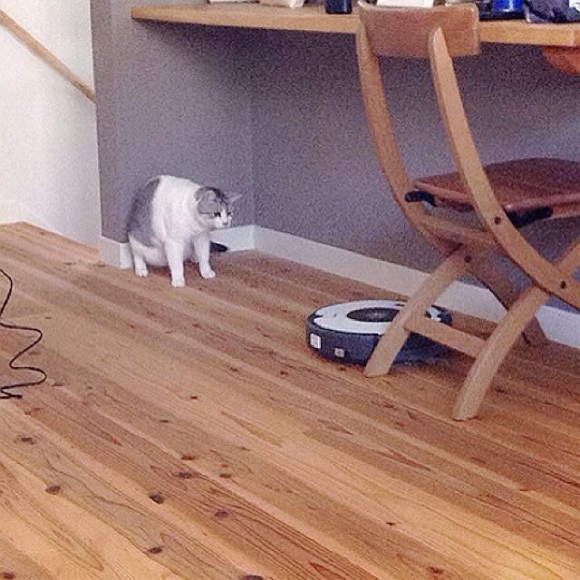 Tomo3さんの実例写真