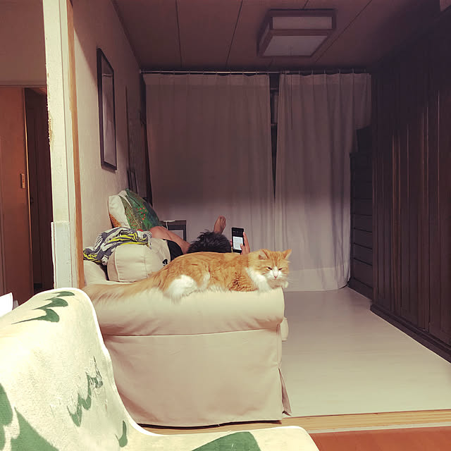 uchidaizuさんの実例写真