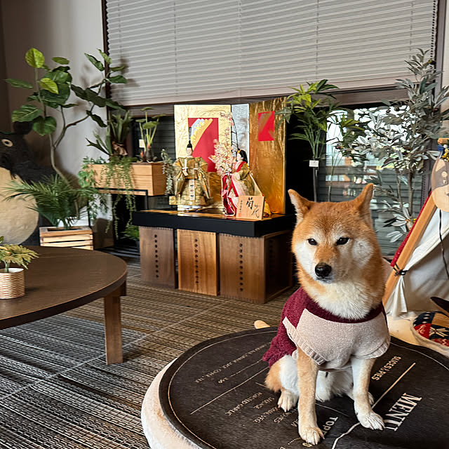 yuさんの部屋