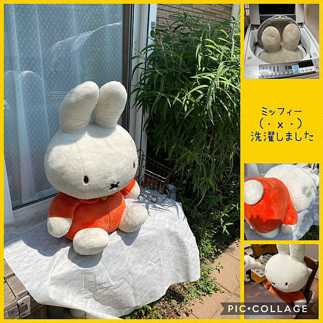 Lufuさんの実例写真