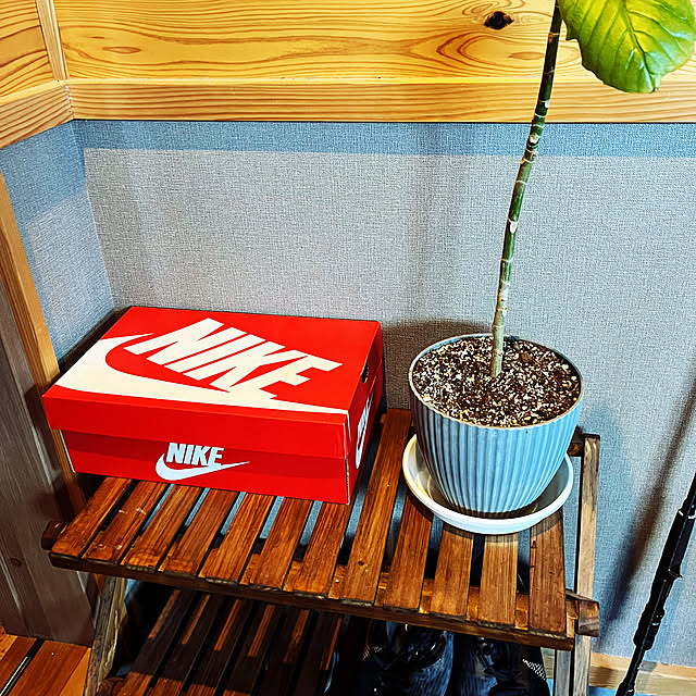 seiさんの部屋