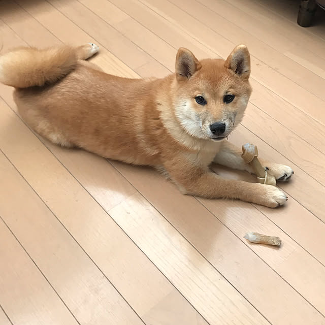 shiotanさんの実例写真