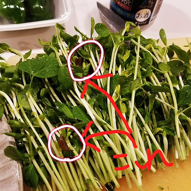 kosaさんの実例写真