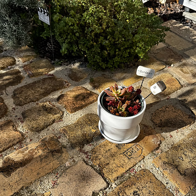 yuri.sさんの部屋