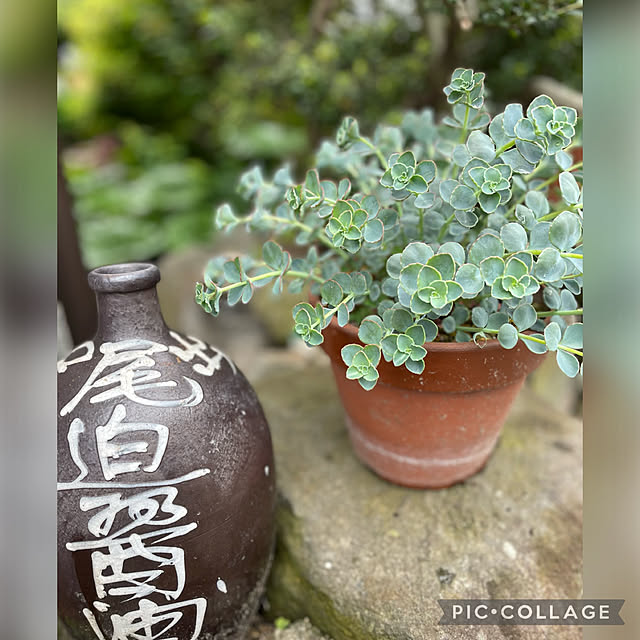 buchiさんの実例写真
