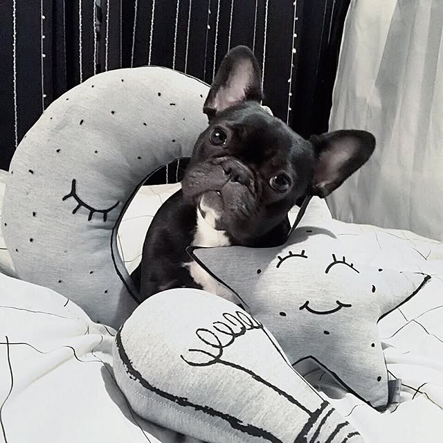 Sanaさんの実例写真