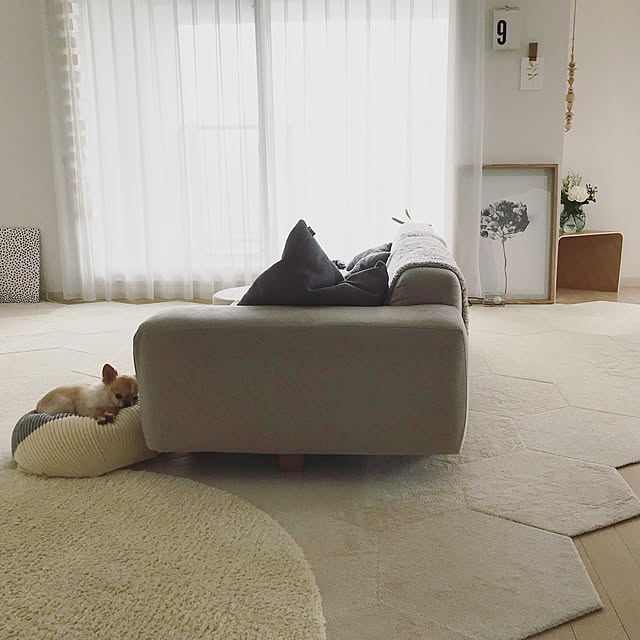 haruhinaさんの実例写真
