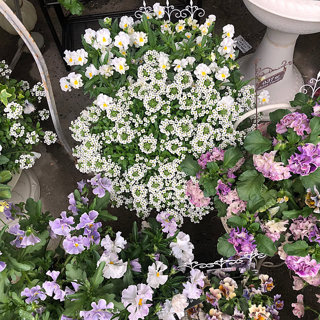cocoさんの部屋