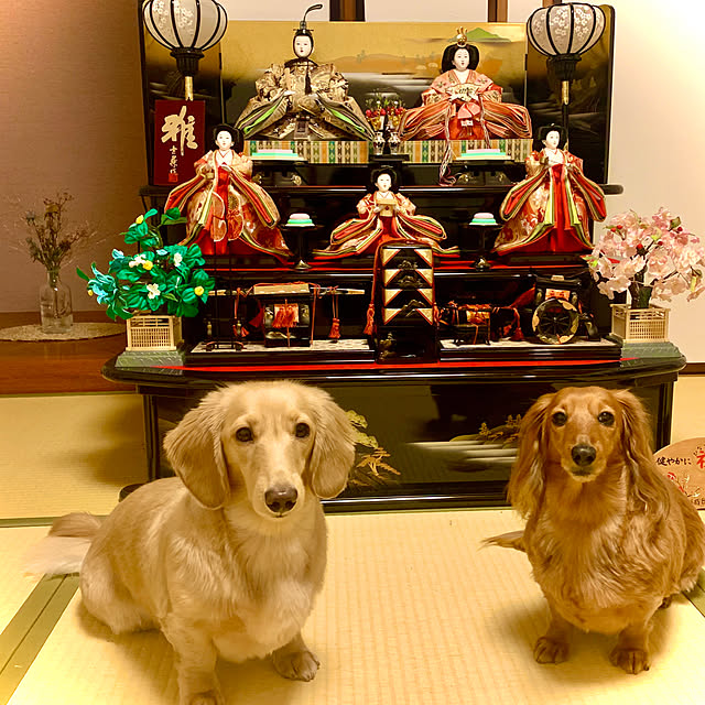 noriさんの実例写真