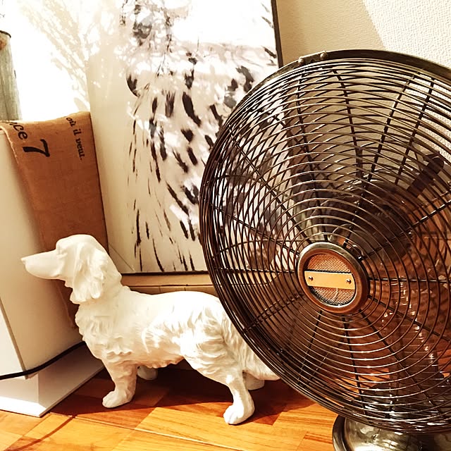 Daisukeさんの実例写真